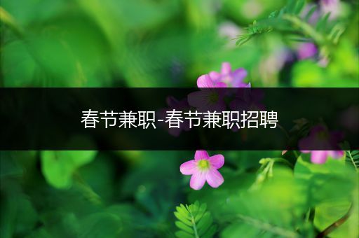 春节兼职-春节兼职招聘