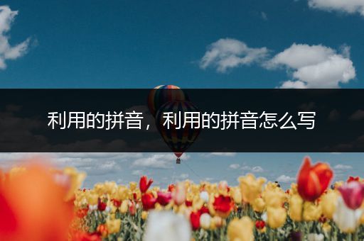 利用的拼音,利用的拼音怎么写