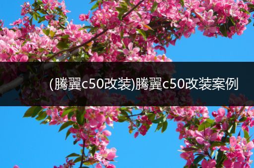 (腾翼c50改装)腾翼c50改装案例