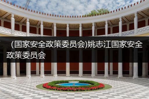 (国家安全政策委员会)姚志江国家安全政策委员会
