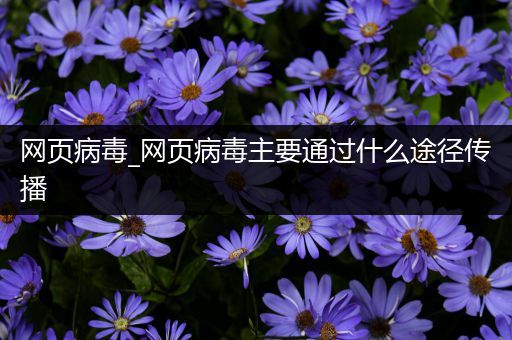 网页病毒_网页病毒主要通过什么途径传播