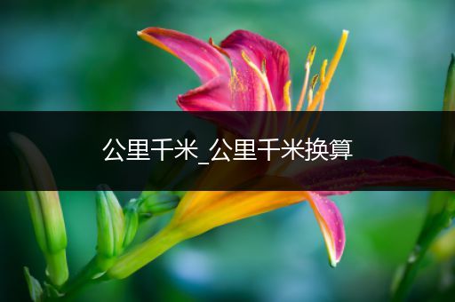 公里千米_公里千米换算