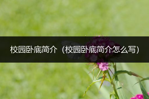 校园卧底简介（校园卧底简介怎么写）