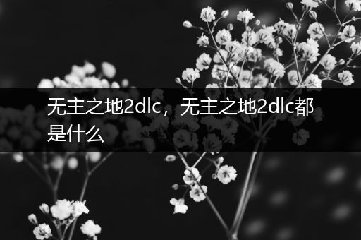 无主之地2dlc，无主之地2dlc都是什么