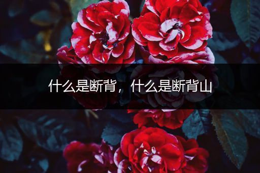 什么是断背,什么是断背山