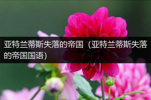 亚特兰蒂斯失落的帝国（亚特兰蒂斯失落的帝国国语）