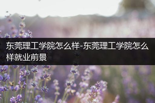 东莞理工学院怎么样-东莞理工学院怎么样就业前景