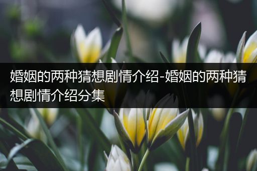 婚姻的两种猜想剧情介绍-婚姻的两种猜想剧情介绍分集