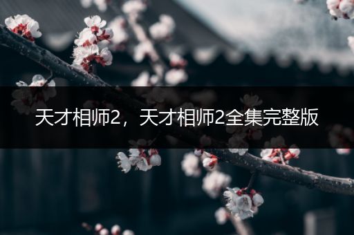 天才相师2，天才相师2全集完整版