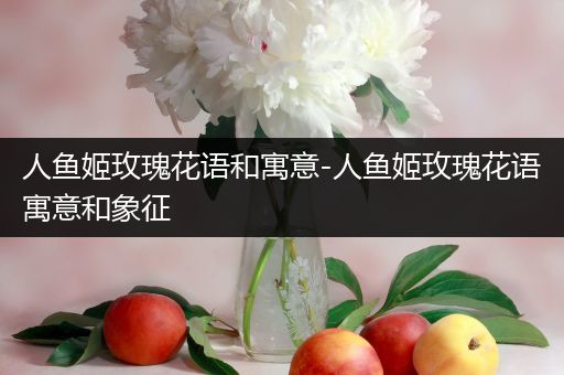 人鱼姬玫瑰花语和寓意-人鱼姬玫瑰花语寓意和象征