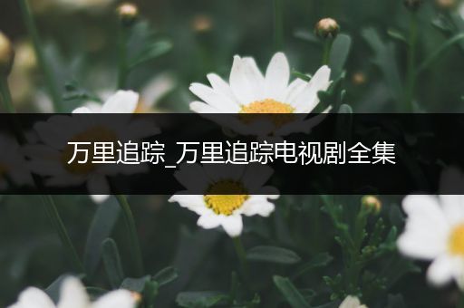 万里追踪_万里追踪电视剧全集