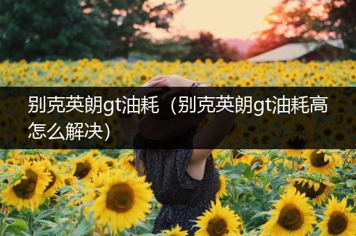 别克英朗gt油耗（别克英朗gt油耗高怎么解决）