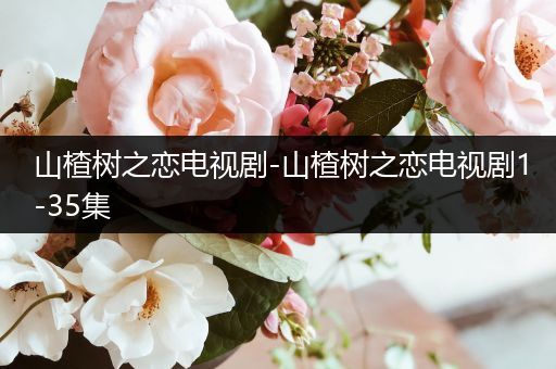 山楂树之恋电视剧-山楂树之恋电视剧1-35集