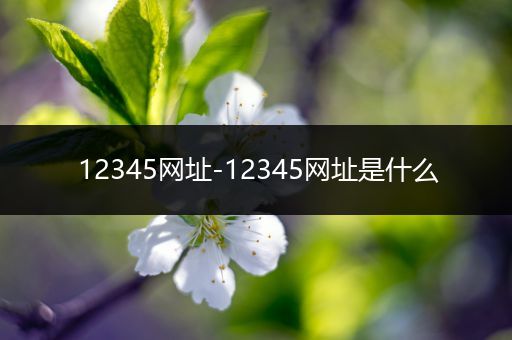 12345网址-12345网址是什么