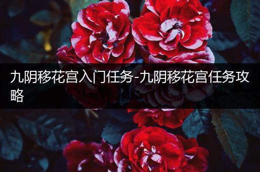 九阴移花宫入门任务-九阴移花宫任务攻略