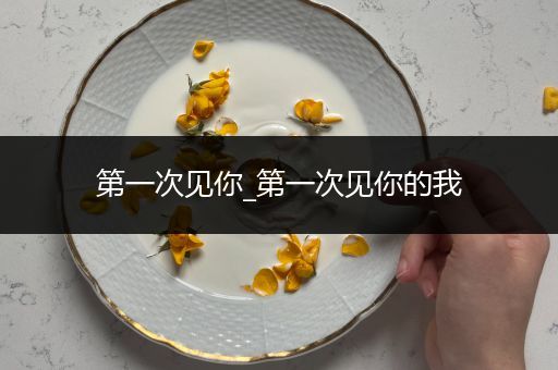 第一次见你_第一次见你的我