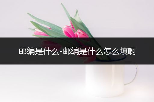 邮编是什么-邮编是什么怎么填啊