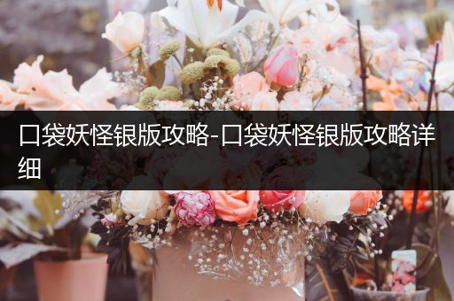 口袋妖怪银版攻略-口袋妖怪银版攻略详细
