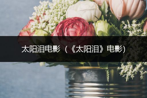 太阳泪电影(《太阳泪》电影)