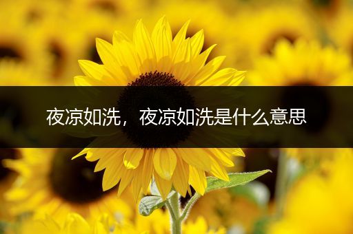 夜凉如洗，夜凉如洗是什么意思