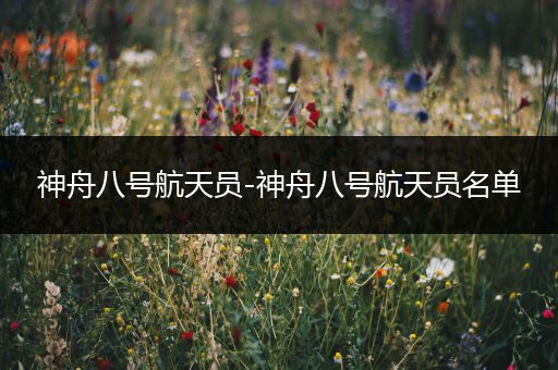 神舟八号航天员-神舟八号航天员名单