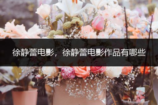 徐静蕾电影,徐静蕾电影作品有哪些