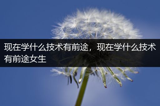 现在学什么技术有前途,现在学什么技术有前途女生