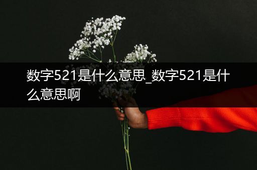 数字521是什么意思_数字521是什么意思啊