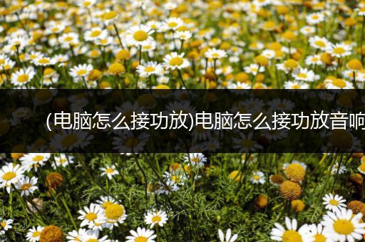 （电脑怎么接功放)电脑怎么接功放音响