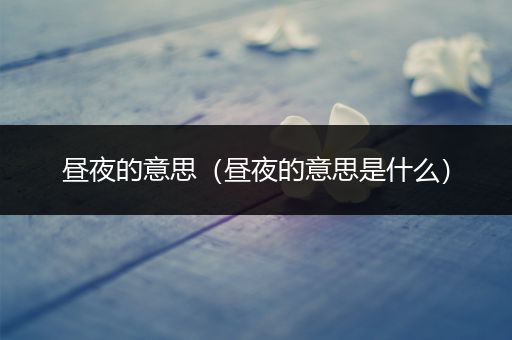 昼夜的意思(昼夜的意思是什么)