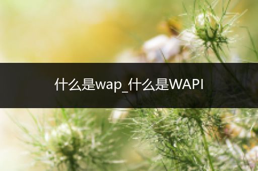 什么是wap_什么是WAPI
