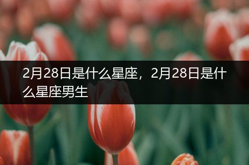 2月28日是什么星座,2月28日是什么星座男生