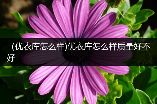 (优衣库怎么样)优衣库怎么样质量好不好