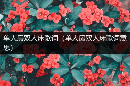 单人房双人床歌词(单人房双人床歌词意思)