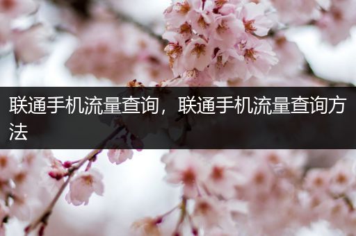 联通手机流量查询,联通手机流量查询方法