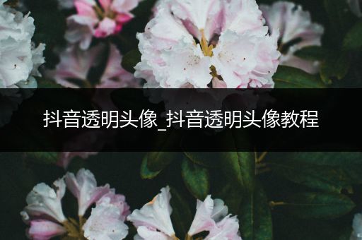 抖音透明头像_抖音透明头像教程