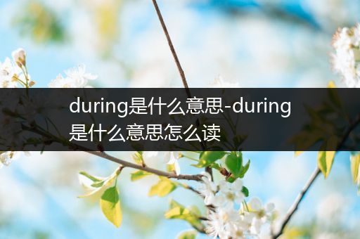 during是什么意思-during是什么意思怎么读