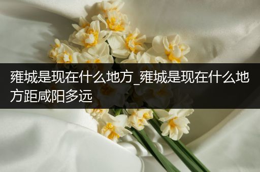 雍城是现在什么地方_雍城是现在什么地方距咸阳多远