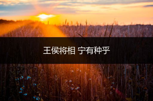 王侯将相 宁有种乎