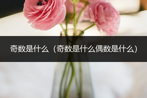 奇数是什么(奇数是什么偶数是什么)