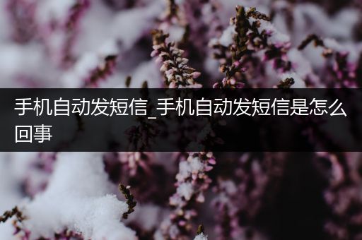 手机自动发短信_手机自动发短信是怎么回事