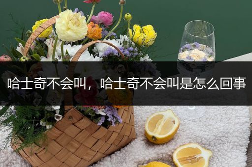 哈士奇不会叫,哈士奇不会叫是怎么回事