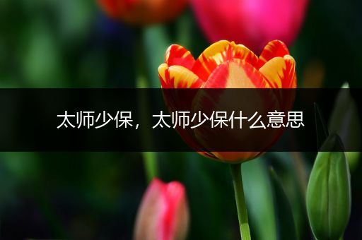 太师少保,太师少保什么意思