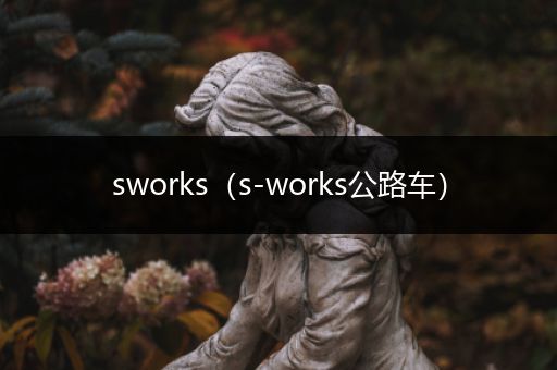 sworks(s-works公路车)