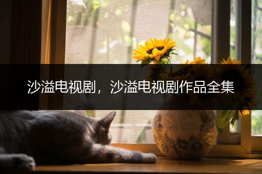 沙溢电视剧,沙溢电视剧作品全集