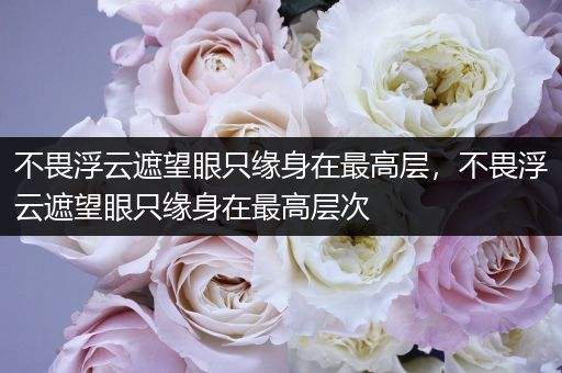 不畏浮云遮望眼只缘身在最高层,不畏浮云遮望眼只缘身在最高层次