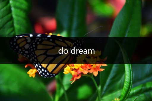 do dream