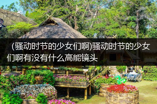 (骚动时节的少女们啊)骚动时节的少女们啊有没有什么高能镜头