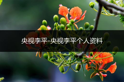 央视李平-央视李平个人资料