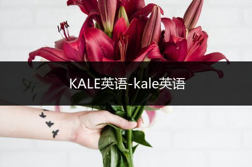 KALE英语-kale英语